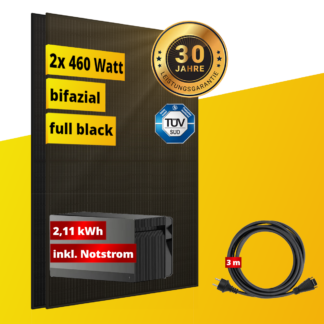 2 Module 460 Watt mit Speicher
